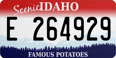 ID license plate E264929