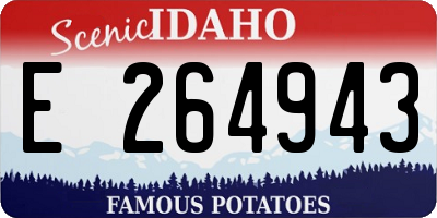 ID license plate E264943