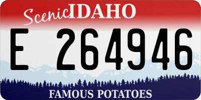ID license plate E264946