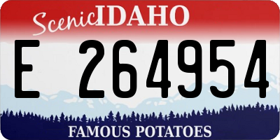 ID license plate E264954