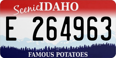 ID license plate E264963