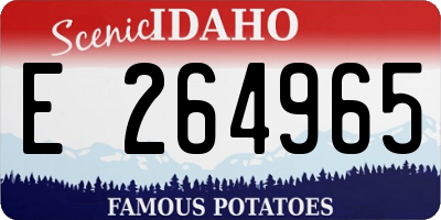 ID license plate E264965