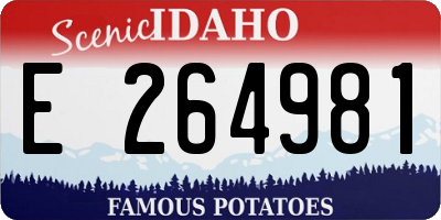 ID license plate E264981