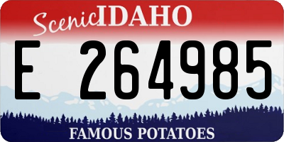 ID license plate E264985