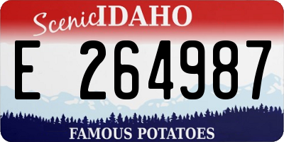 ID license plate E264987