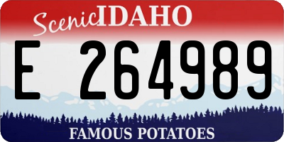 ID license plate E264989
