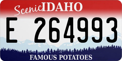 ID license plate E264993