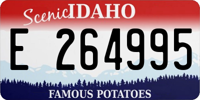 ID license plate E264995