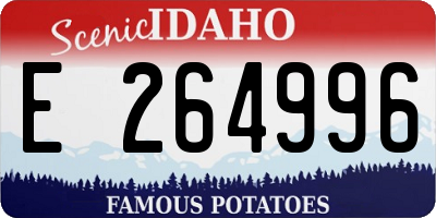 ID license plate E264996