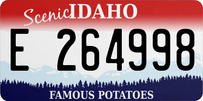 ID license plate E264998
