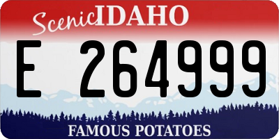 ID license plate E264999