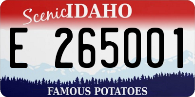 ID license plate E265001