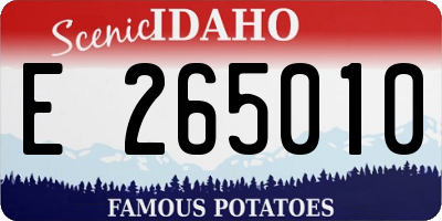 ID license plate E265010