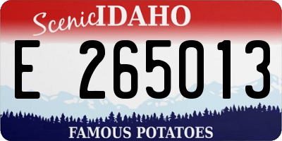 ID license plate E265013