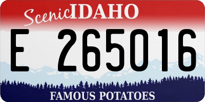 ID license plate E265016