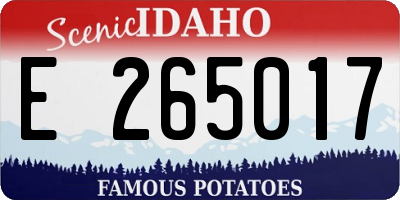 ID license plate E265017
