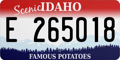 ID license plate E265018