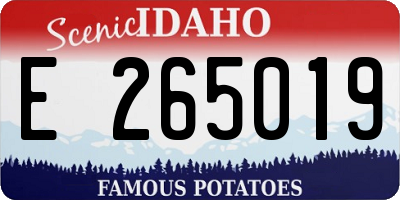 ID license plate E265019