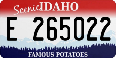 ID license plate E265022