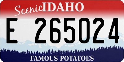 ID license plate E265024