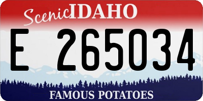 ID license plate E265034