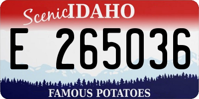 ID license plate E265036