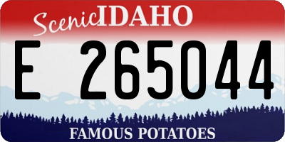 ID license plate E265044