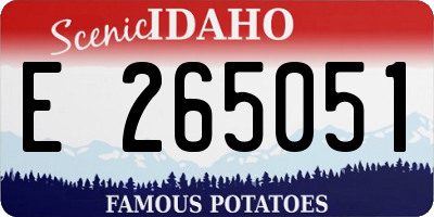 ID license plate E265051