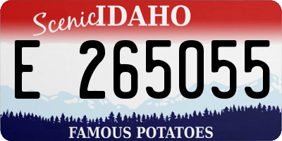 ID license plate E265055