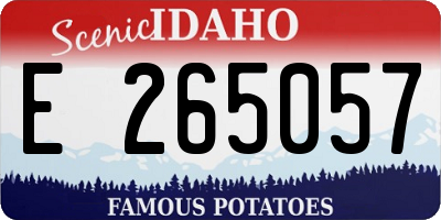 ID license plate E265057