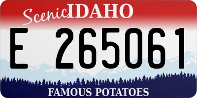 ID license plate E265061