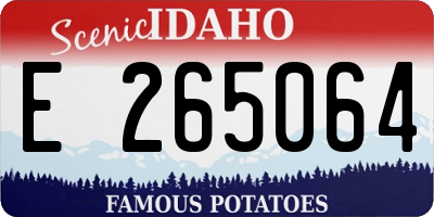 ID license plate E265064