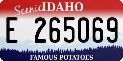 ID license plate E265069