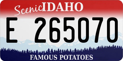 ID license plate E265070