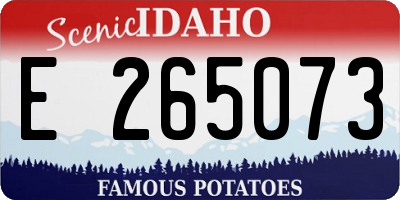 ID license plate E265073