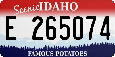 ID license plate E265074