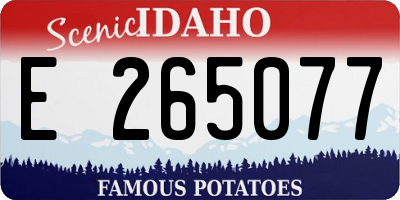 ID license plate E265077