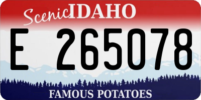 ID license plate E265078