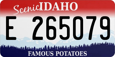 ID license plate E265079