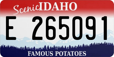 ID license plate E265091