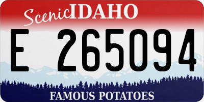 ID license plate E265094