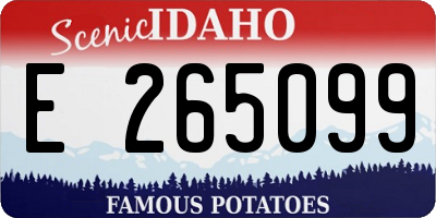 ID license plate E265099