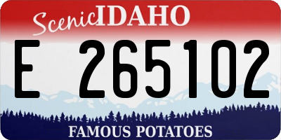 ID license plate E265102
