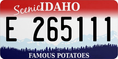 ID license plate E265111
