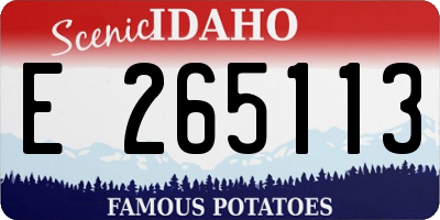 ID license plate E265113