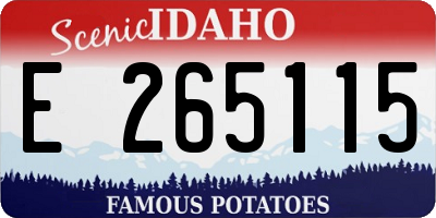 ID license plate E265115