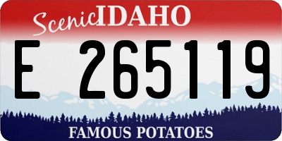 ID license plate E265119