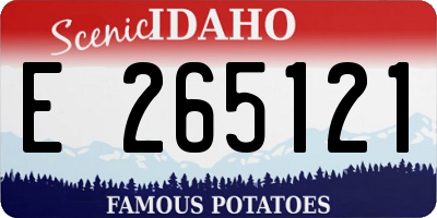 ID license plate E265121