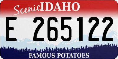 ID license plate E265122
