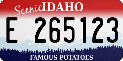 ID license plate E265123
